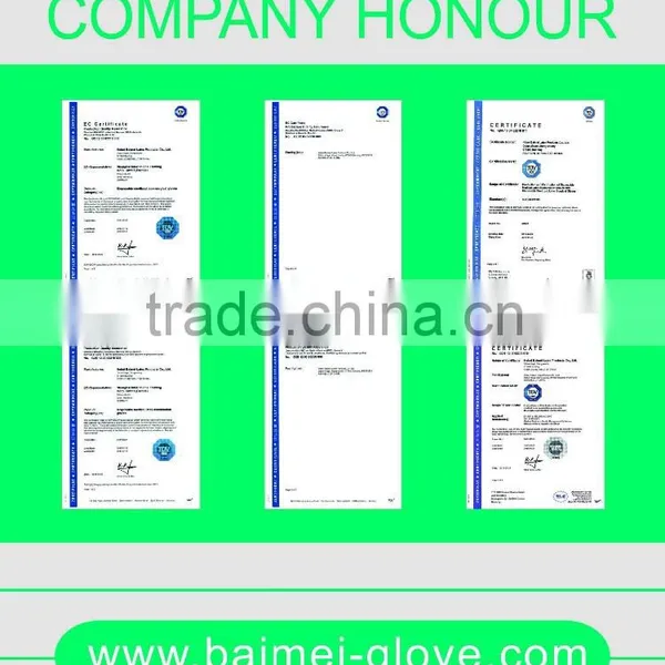 Arab Health Latex Surgical Gloves photo-2