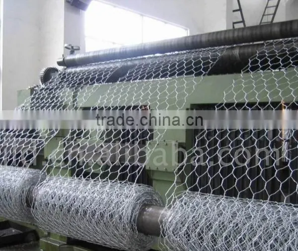 Gabion Boxes/Gabion Mesh