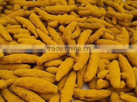 Indian Turmeric Suppliers for United Kingdom
