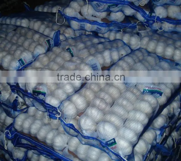 New Garlic photo-3