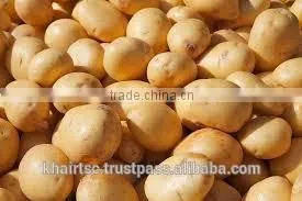 FRESH POTATO