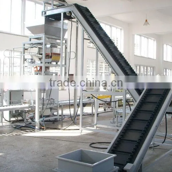 Good Chinese Suppiler Pet Bottle Packaging Line photo-3