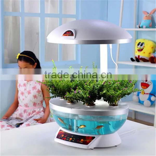 Camry Glass Fish Tank 2014 photo-5