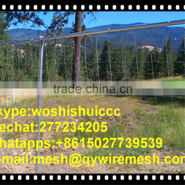 Hinged Joint Wire Field Fence For Farm,Forest ,Wild Dog/Farm Fence photo-4