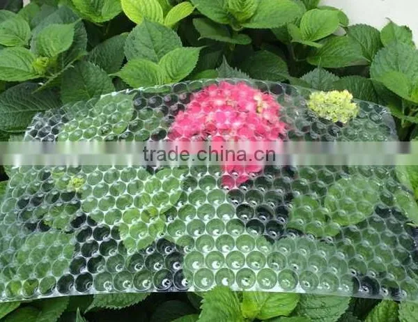 434 Cell, 353 Cell Colorful PVC Rice Seedling Tray Type photo-6