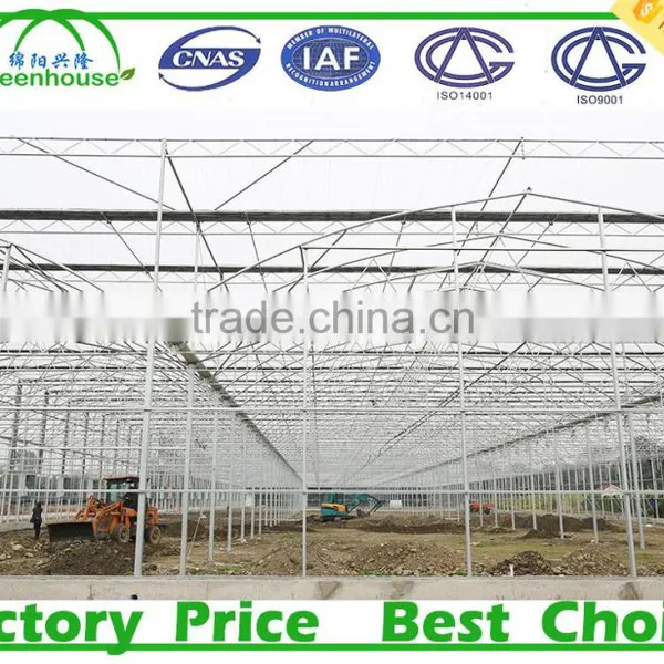 Long Life Span Greenhouse Polycarbonate Sheet Price photo-4