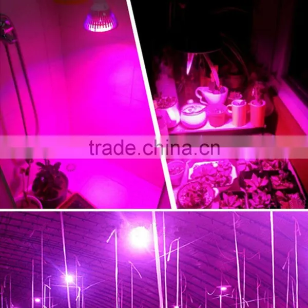 1pcs for Sale Grow Led Light E27 Indoor 7W 6 Red 1 Blue Hydroponic Grow Led Lamp for Flower Growth Vegetable Greenhouse photo-4