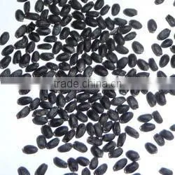 Basil Seeds photo-2