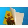 Acrylic Lens