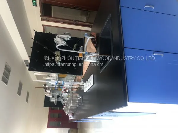 Chemical Resistant Compact Laminates Labtop photo-5