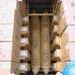 Factory Directly Container Dunnage Air Bag for Void Filling Packaging