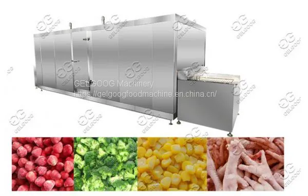 Industrial IQF Machine Price For Fruit & Vegetable