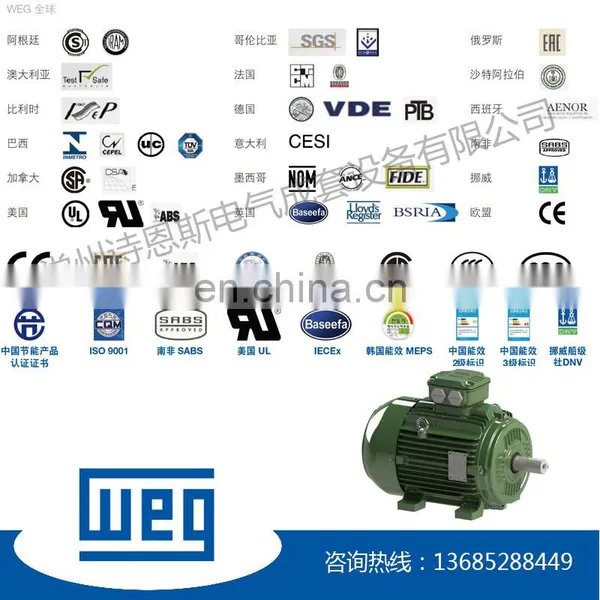 WEG W21 Series IE2 High Efficiency 22kw 3 Phase ac Induction Motor photo-5