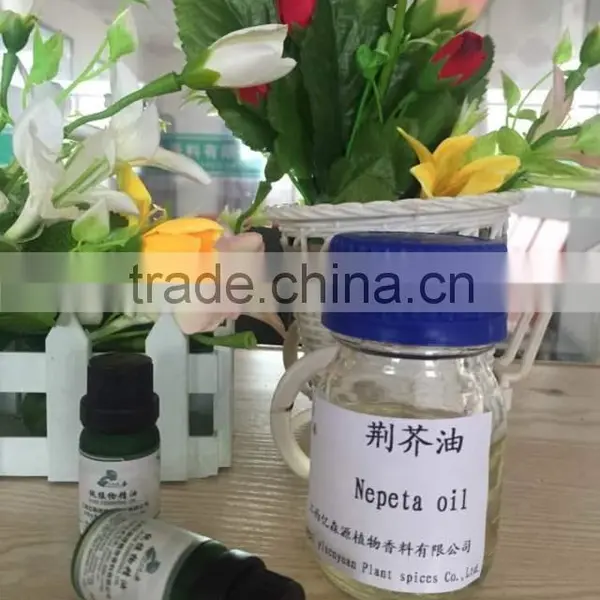 Wholesale Nepeta Cataria Oil of Superior Quality in Bulk