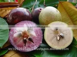 Star Apple/Fresh Star Applle/Sweet Star Apple