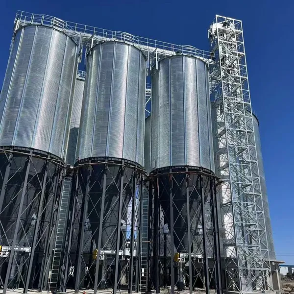 800T Customized Galvanized Steel Feed Silo for Poultry Farm Animal Feed Storage System photo-1