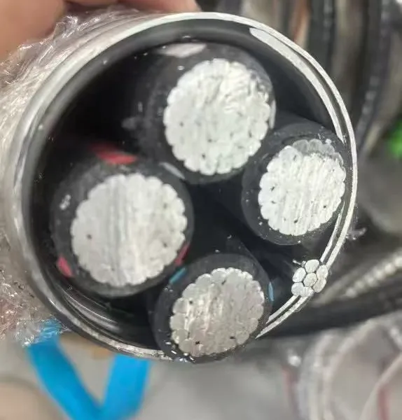 MC Clad Cable 10/3C