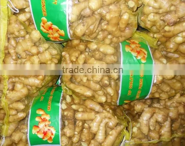 2016 Chinese Fresh Ginger Wet Dry Half Dry Skin Super Quality photo-4