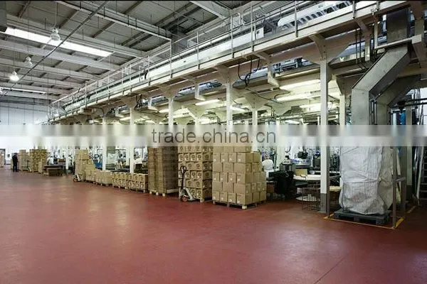 High Speed Customized Compound Potato Chips Processing Line photo-2