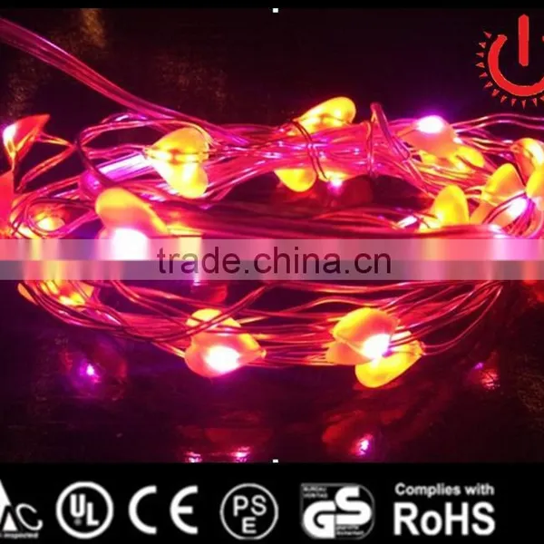 12v Led String Lights photo-4