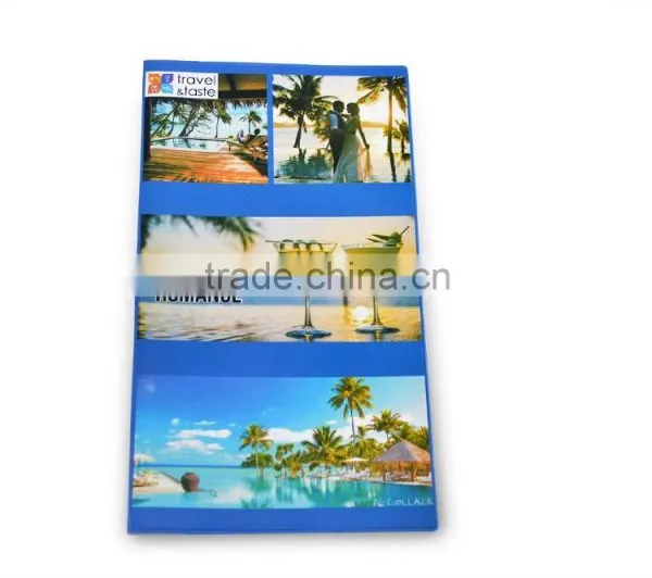 CMYK Printing PVC Ticket Holder With Two Clear Pocket photo-6