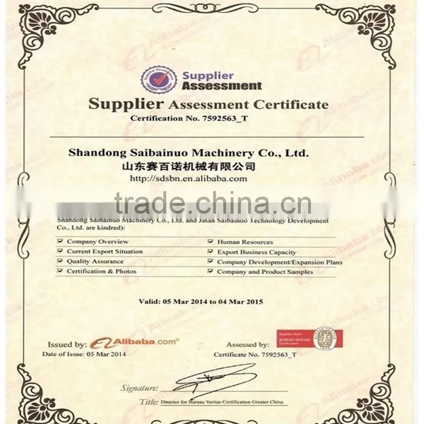 High Technology Factory Price Machine to Make Rice Crackers photo-5