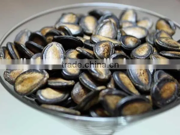 High Quality Japanese Melon Seeds Export photo-3