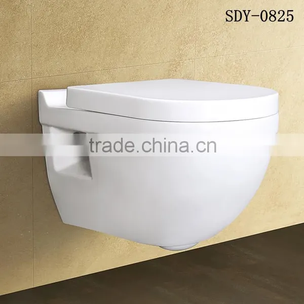 Bathroom Design Wall Hung Toilet