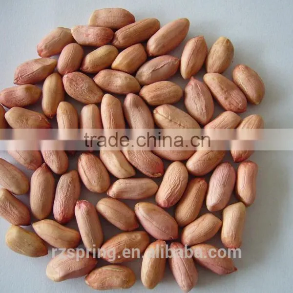 Chinese Good Quality Peanut Kernels photo-2