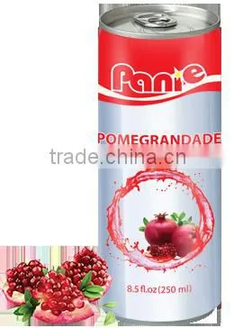 Panie the Best and Real Fruit Juice From Vietnam, Tropical Country photo-6