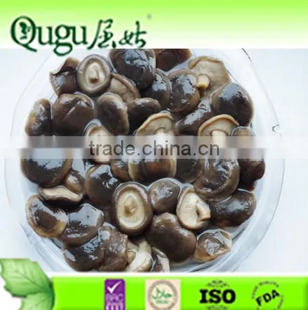 Canned Shiitake in Glass Jar Shiitake in Brine Shiitake Supplier