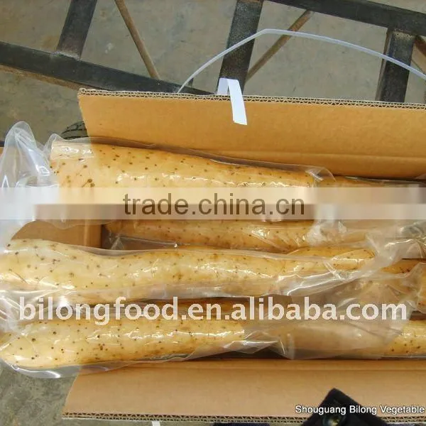 Fresh Chinese Yam