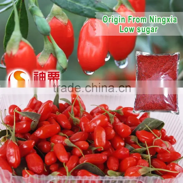 Ningxia Goji Berries is the Best Tonic photo-3