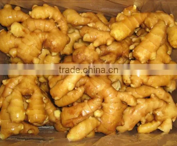 2017 Fresh Ginger photo-5