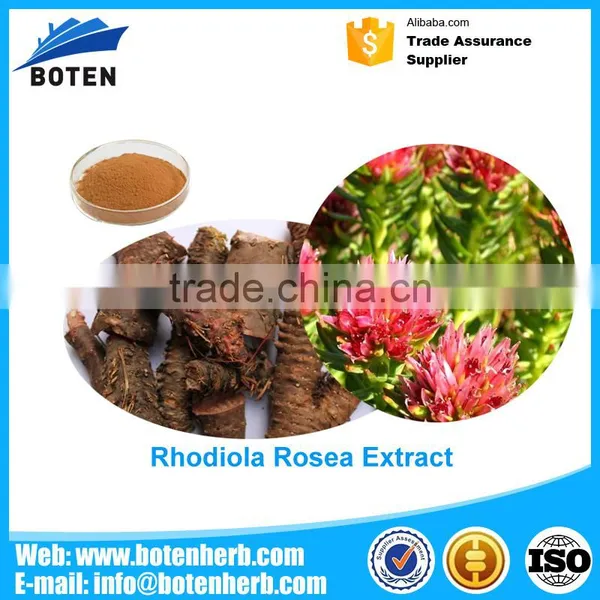 Made in China Rhodiola Rosea P.E. Made