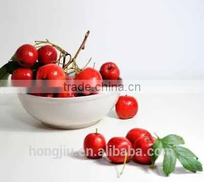 Hot Sale Cranberry Extract