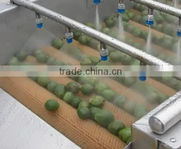 Full Automatic Industrial Vegetable And Fruit Washing Washer and Drying Dryer Machine photo-5
