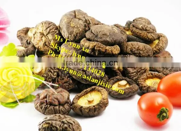 High Quality Mushroom /dry Shiitake Mushroom photo-4