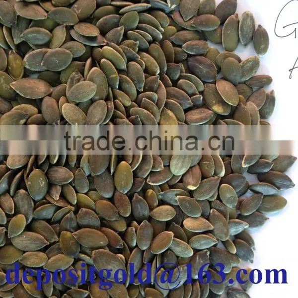 Grown Without Shell Pumpkin Seeds Price Grade AA photo-2