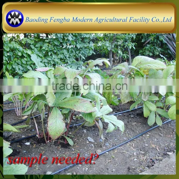 Watering Irrigation Drip Irrigation in Israel