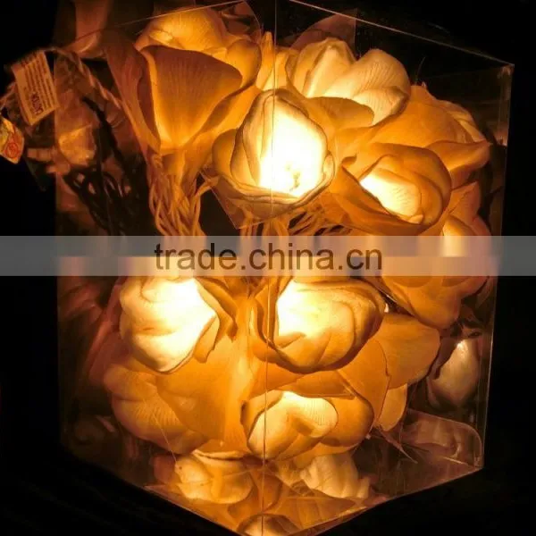 Sola Flower Lights photo-3
