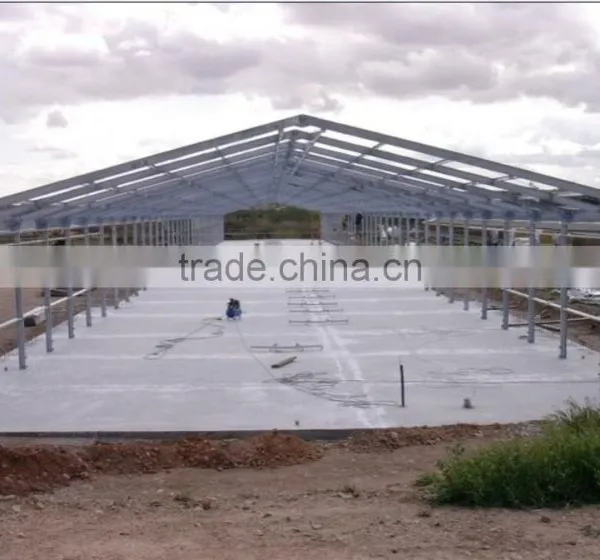 Steel Structure Chicken Shed /environmental Control Steel House photo-5