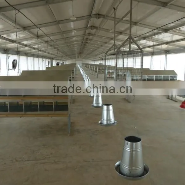 New Design Chicken Shed photo-4