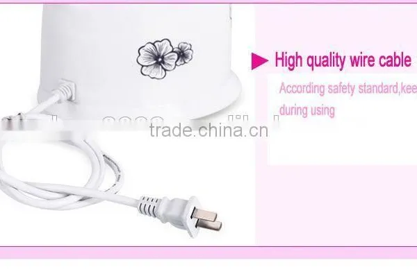 2016 Hot Gifts Ionizer Rejuvenation Mini Facial Steamer photo-4