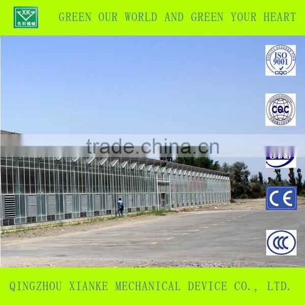 Vegetable Venlo Multi-span Glass/ pc Sheet Greenhouse With Factory Price photo-4