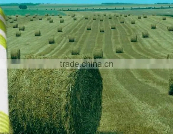 UV Treated Dark Green Silage Bale Net Wrap photo-6