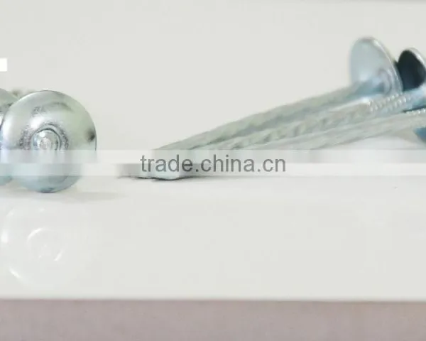 Top Quality Galvanized Roofing Nail photo-6