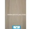 Elm Veneer--US$ 0.65/m2+