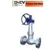 Pressure Seal Globe Valve