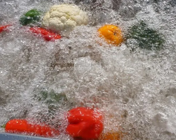 Fruit and Vegetable Washing Machine / Leafy Vegetable Washer WT/8613824555378 photo-4